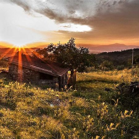 Grassina Fattoria La Tavernuzza المظهر الخارجي الصورة