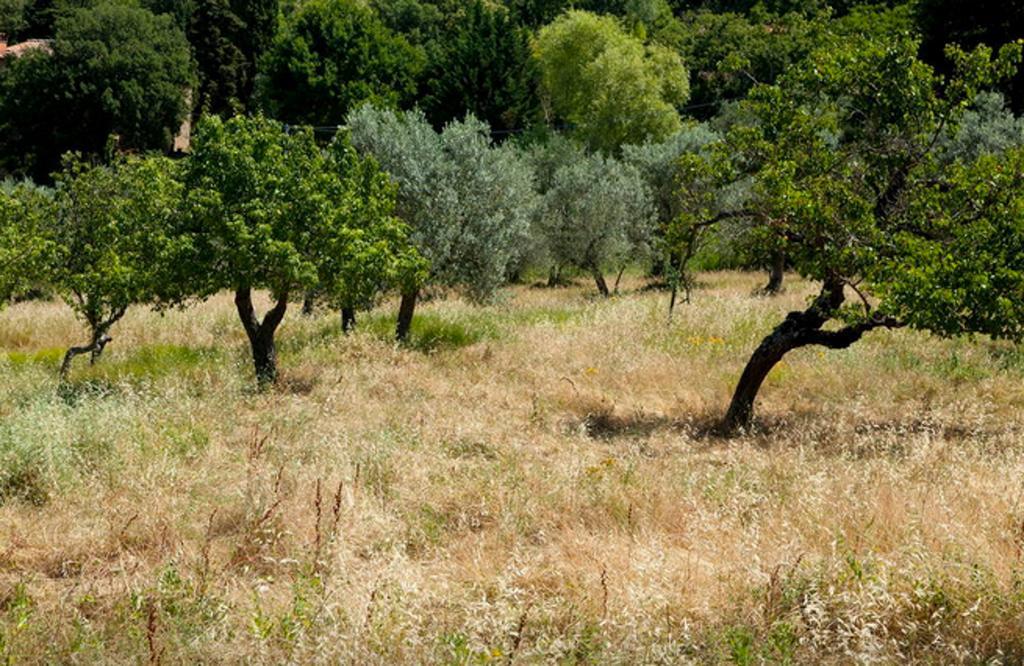 Grassina Fattoria La Tavernuzza الغرفة الصورة