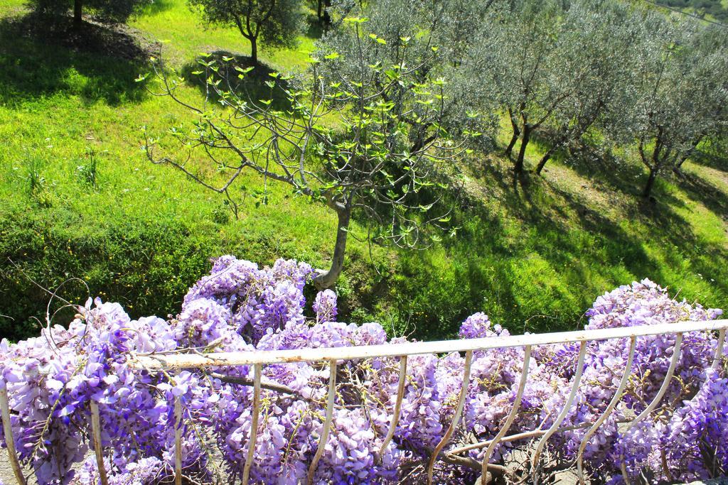 Grassina Fattoria La Tavernuzza المظهر الخارجي الصورة