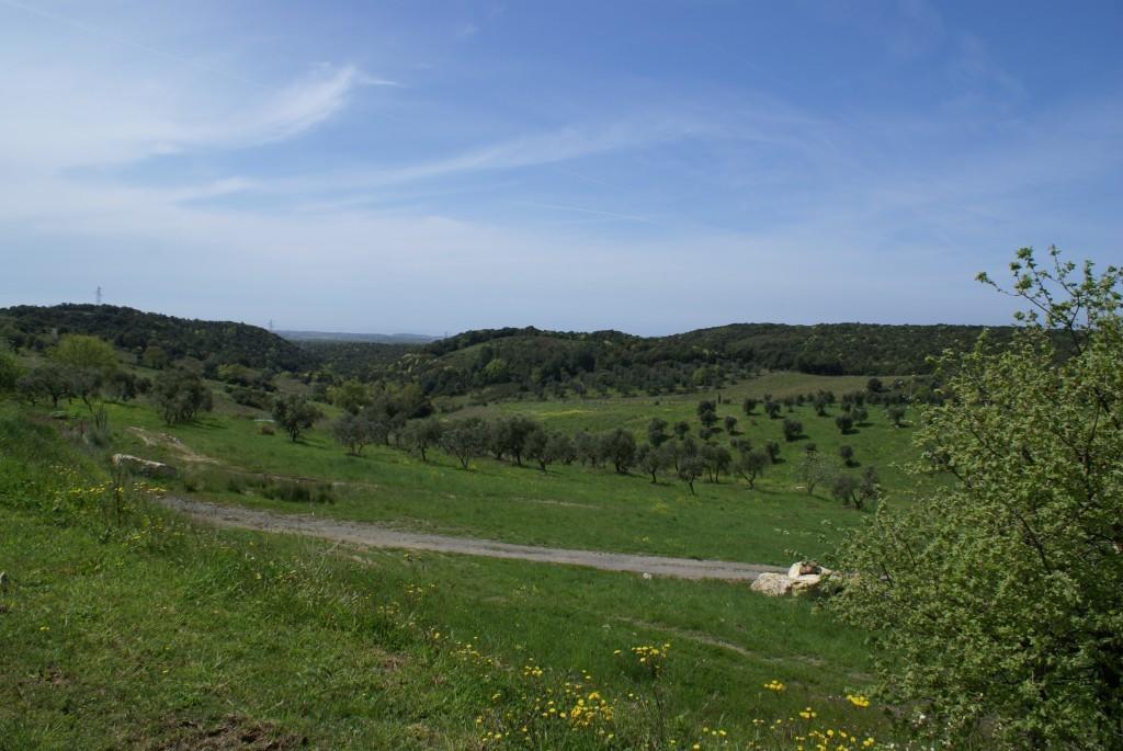 Grassina Fattoria La Tavernuzza المظهر الخارجي الصورة