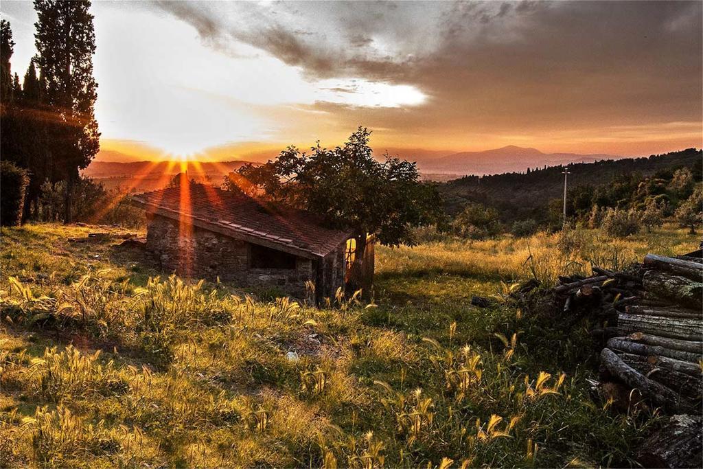Grassina Fattoria La Tavernuzza المظهر الخارجي الصورة